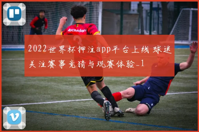 2022世界杯押注app平台上线 球迷关注赛事竞猜与观赛体验_1