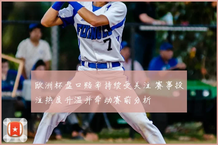 欧洲杯盘口赔率持续受关注 赛事投注热度升温并牵动赛前分析